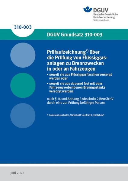 DGUV Grundsatz 310 003 Prüfaufzeichnung über Prüfung von