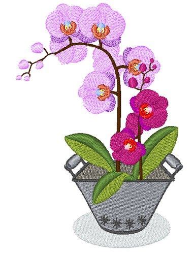 Orchid Blooms Embroidery Design Embroidery Designs