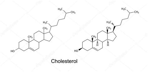 Structural Formulas Of Cholesterol Molecule Stock Vector Image By