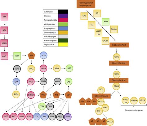 The Origin Of Land Plants Is Rooted In Two Bursts Of Genomic Novelty