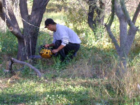 Mejoran imagen del Parque Raymundo El Siglo de Torreón