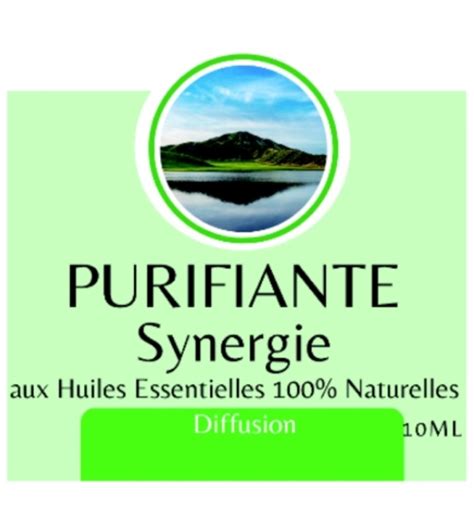 Synergie Huiles Essentielles Purifiante Ml Zen Ar Me Assainissante