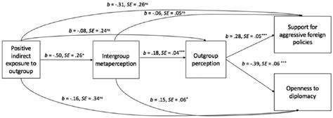 Are They For Us Or Against Us How Intergroup Metaperceptions Shape Foreign Policy Attitudes