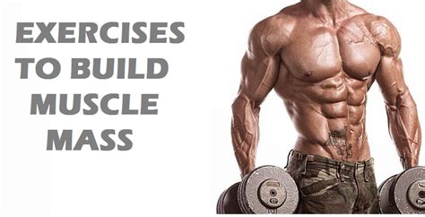 Muscle Palace Best Exercises To Build Muscle Mass Fast