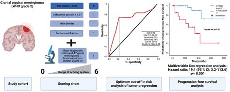 Diagnostics Free Full Text Combining Forge Score And