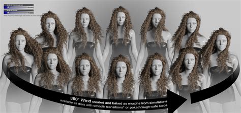 Flipped Curls Hair For Genesis 9 Daz 3D