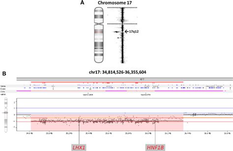 Array Comparative Genomic Hybridization Analysis On The Dna Extracted