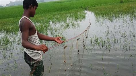 Traditional Fishing In Bangladesh Natural Fish Hunting With Karen