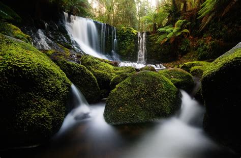 Mount Field National Park - GETI