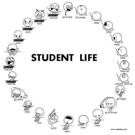 Funny Quotes About College Students. QuotesGram