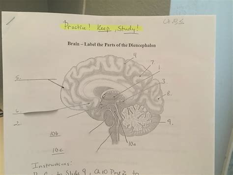 Parts of the brain Diagram | Quizlet