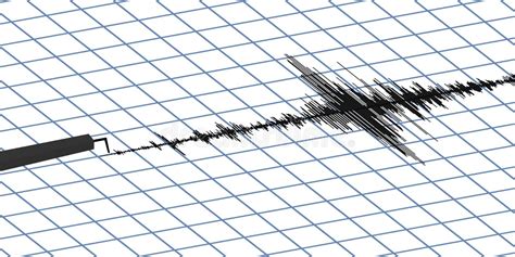 Seismogram Of Different Seismic Activity Record Vector Illustration Earthquake Wave On Paper