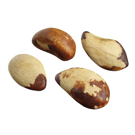 Brazil Nuts Models Raw Poliigon