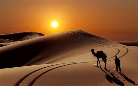 What You Need To Know About Sahara Desert Tours And Trips