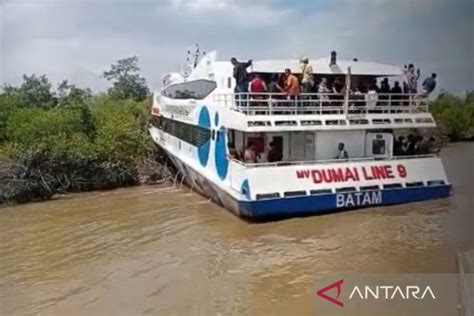 Kapal Dumai Line Rute Karimun Selatpanjang Tabrak Hutan Bakau Di