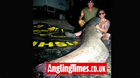 Brits First Cat Is A 246lb Monster Angling Times