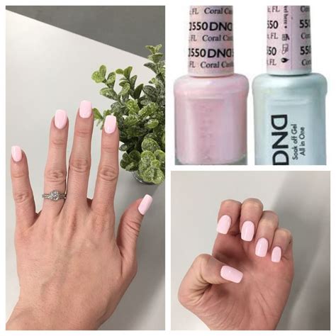 Dnd Gel Polish In Coral Castle 550 Gel Nail Colors Shellac Nail