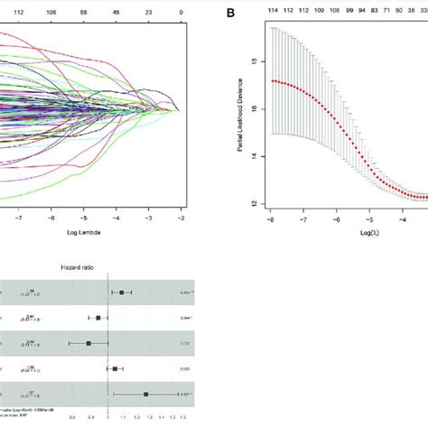 Construction Of A Five Gene Based Prognostic Model A The