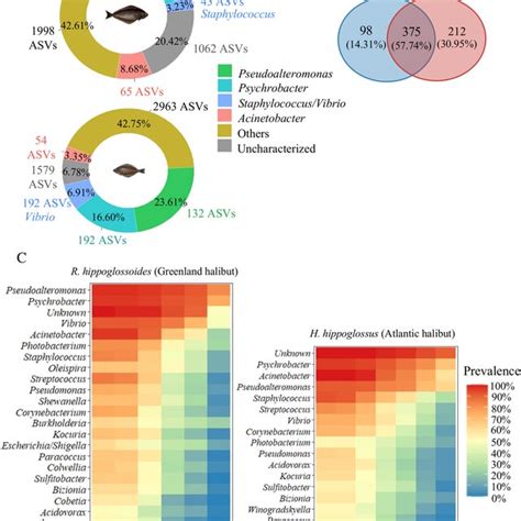 Core Blood Microbiome Analysis A Mean Relative Abundance Of The