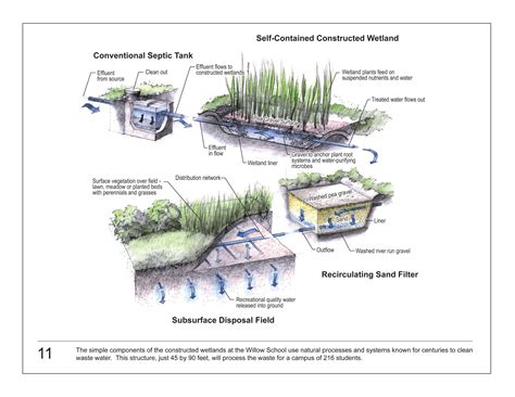 Constructed Wetlands plan | Sustainable living design, Landscape ...