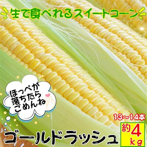 ゴールドラッシュ とうもろこし【約4kg11〜14本l〜2lサイズ】 朝採り 農家直送 生で食べられる スイートコーン おおもの 高知県産 お