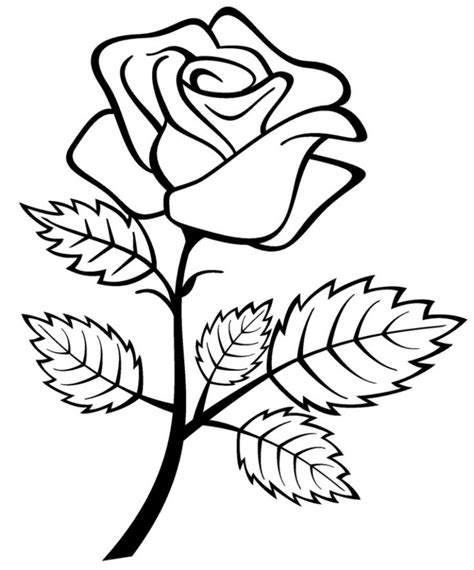 Rose Coloring Pages | Beautiful Flower Sketches