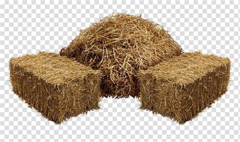 Straw Hay Agriculture Haystack Baler Harvest Farm Cuisine