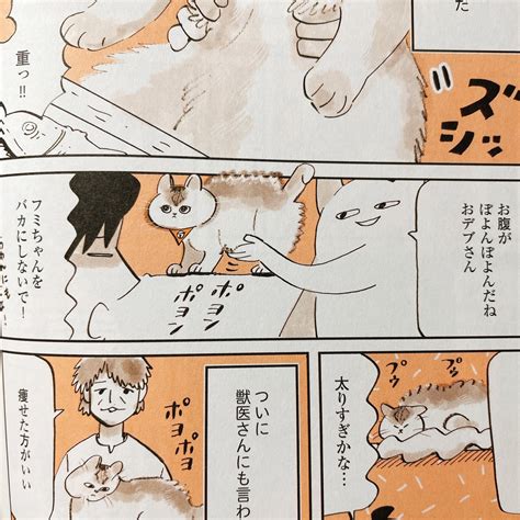 「好きなコマ。 ポヨンポヨンフミちゃん。 うちの猫は仲が悪い 」谷口 菜津子の漫画