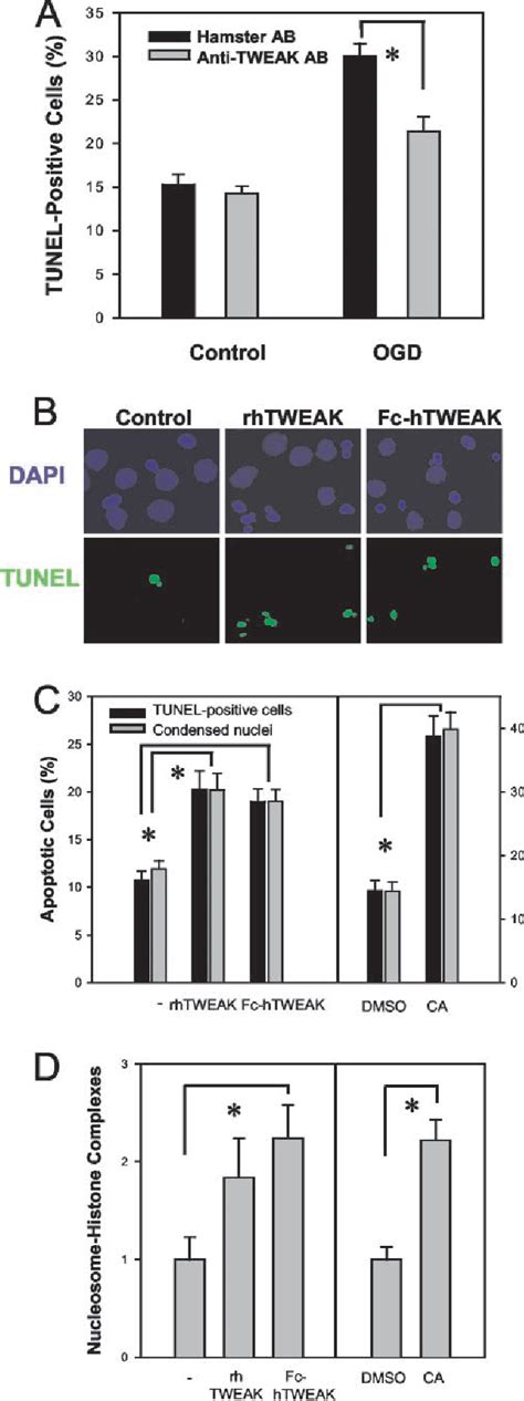 Figure From Tumor Necrosis Factor Like Weak Inducer Of Apoptosis