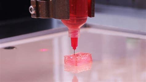 3D Printed Organs / Body Parts: Most Promising Projects | All3DP