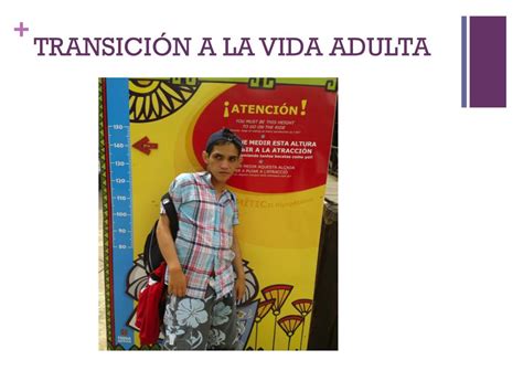 Ppt TransiciÓn A La Vida Adulta En Personas Con T E A Powerpoint