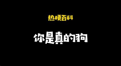 「热梗百科」“你是真的狗”什么梗？ 哔哩哔哩