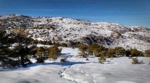 Equipo para vivac lo básico para dormir en la naturaleza