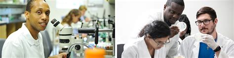Department Of Biological Sciences Florida Atlantic University