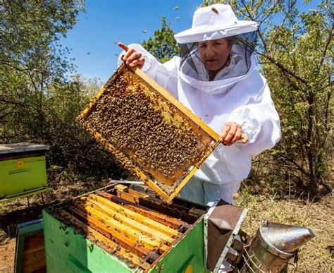 Jalisco Sabe A La Miel M S Deliciosa Y Natural Del Pa S Coreculinario