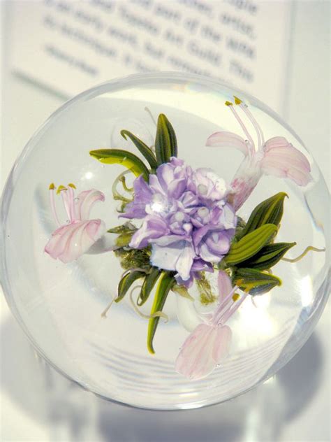 Цветы в стекле | Glass, Tableware, Plates