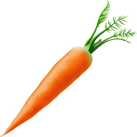 Морковь | Play food, Food menu, Clip art
