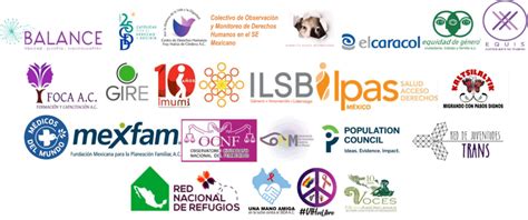 Organizaciones De La Sociedad Civil Crean Observatorio De Género Y