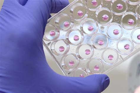 More Efficient Drug Screening With 3D Bioprinting Perfect 3D Printing