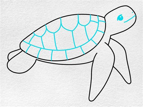 Easy Sea Turtle Drawing - HelloArtsy