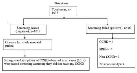 Flow Chart Of Early Detection Of Critical Congenital Heart Disease In