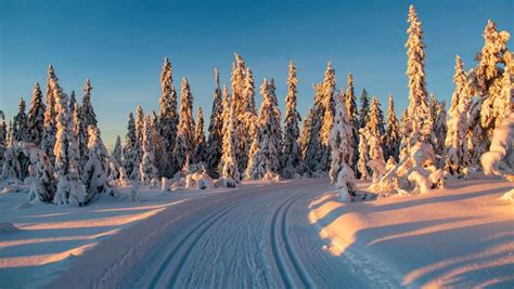 Winterlandschaften in Deutschland wo gibt es schönsten