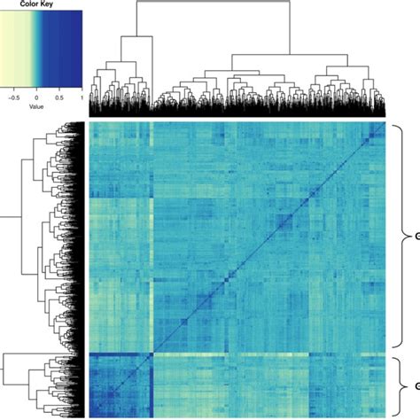 Heatmap Of Genomic Relationships Illustrating The Distinct Clustering