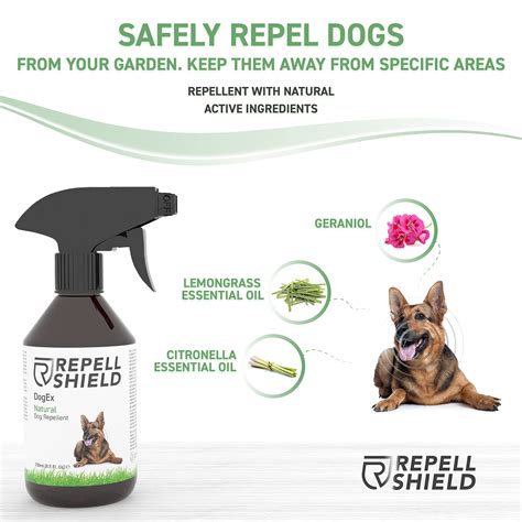 RepellShield Anti Chew Spray For Puppies & Dogs - An Effective Dog