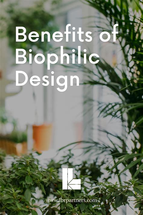The Benefits Of Biophilic Design Nature Inspired Home Decor