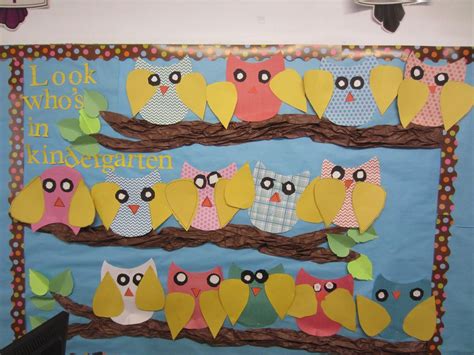 Owl Bulletin Board And A Freebie Mrs B S Beehive Owl Bulletin Boards Bulletin Boards