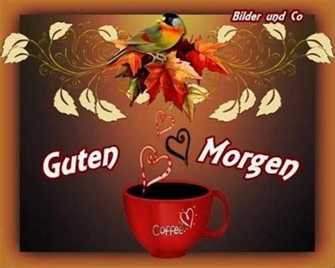 ᐅ Guten Morgen Bilder Neu - GB Pics - GBPicsBilder