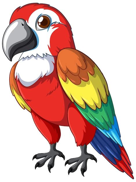 Premium Vector Colorful Parrot Vector Illustration