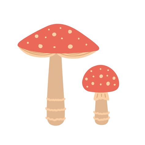 Premium Vector Fly Agaric Mushrooms Retro Mushrooms Hand Drawn