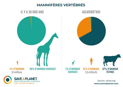 La Eme Extinction De Masse Est En Cours Save Planet